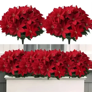 Alternative view of Bouquet de Poinsettia rouge