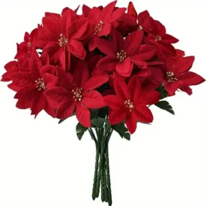 Bouquet de Poinsettia rouge